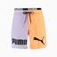 Shorts puma Hombre