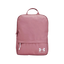 Mochila Under Armour Loudon