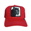 GORRA GOORIN BROS PANTHER
