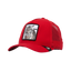 GORRA GOORIN BROS TIGER