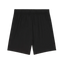 Short Puma Run Fav 2 In 1