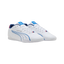 Puma Motorsport BMW