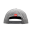 Gorra FEX PRO X Coca-Cola Gris