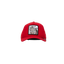 GORRA GOORIN BROS TIGER