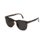 Gafas de sol plegables portátiles