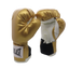 GUANTE DE ENTRENAMIENTO BOXEO - Guantes