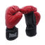 GUANTE DE ENTRENAMIENTO BOXEO - Guantes